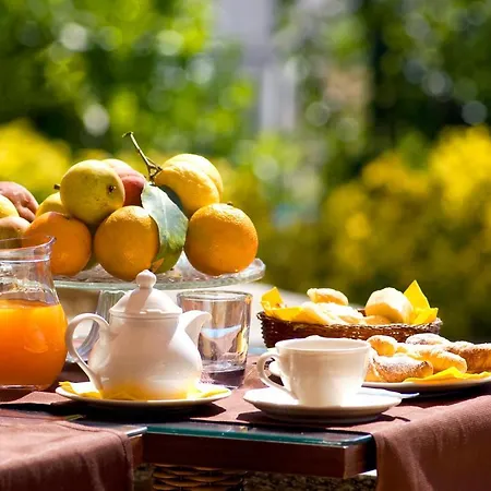 Vakantiehuis Le Ville Negli Ulivi & Wellness *